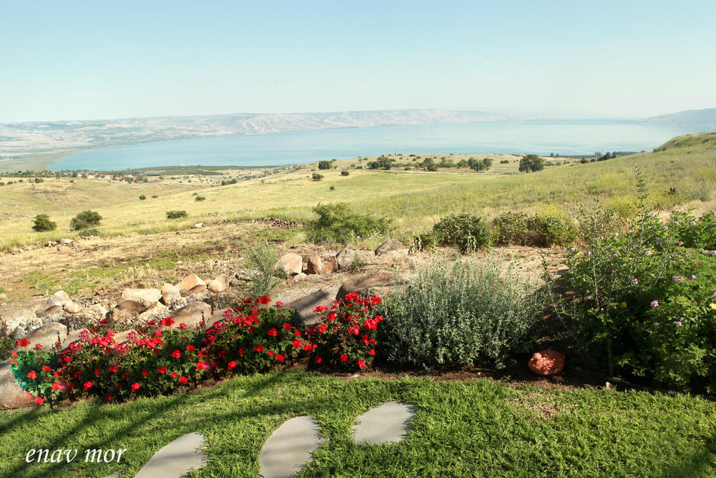 Apartamento Sea Of Galilee Site Chorazim Exterior foto